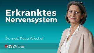 Polyneuropathie: Gibt es Hoffnung auf Heilung? | Dr. med. Petra Wiechel | Visite | QS24