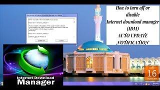 How to disable Internet Download Manager (IDM) auto update Notification