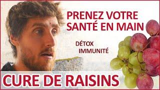 CURE DE RAISINS : conseils, bienfaits et pratique | Soignez-vous en détoxifiant