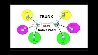 Trunk port | Native vlan  configuration | CCNA 200-301