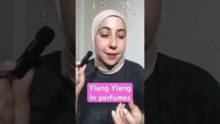 كيف تتغير ريحة النبتة نفسها بالعطور #اكسبلور #perfumes