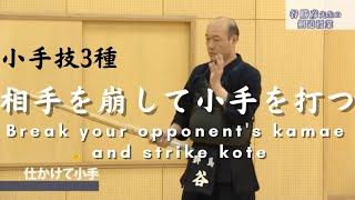 Tani Katsuhiko: When to Strike Kote | 谷勝彦　小手技３種 [2/2]