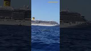 MSC Armonia in Santorini: Cruise Docking at the Iconic Bay of Dreams!