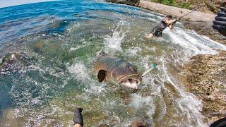 FISHING A WORLD RECORD CORAL TROUT