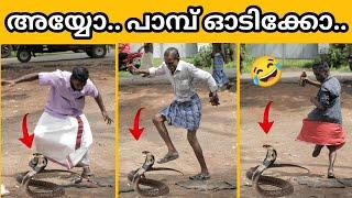 Snake with alcohol Prank | Funny Video 