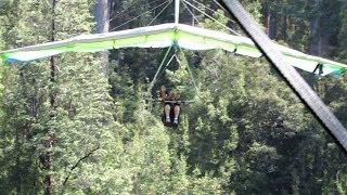 Tahune Hang Glider, Swinging Bridges & Air Walk, Tasmania, Australia