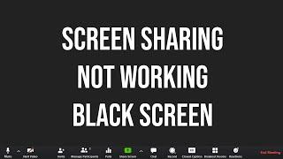 How To Fix Zoom Screen Sharing Not Working BLACK SCREEN Problem