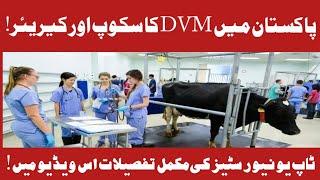 Scope of DVM in Pakistan |Careers in DVM|Veternary Doctor Job Opportunities in Pakistan