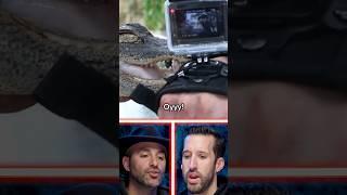 Врач и Coyote Peterson смотрят укусв из Brave Wilderness