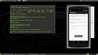 Extracting WhatsApp DB/Crypt Key + Omni-Crypt Fix!