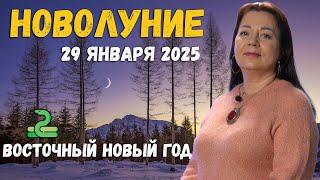 НОВЫЙ ЛУННЫЙ ГОД В НОВОЛУНИЕ 29 ЯНВАРЯ 2025