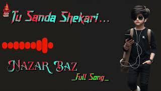 Tu Sanda Shikari Nazar Baz Full Song  - Tik Tok Viral Song - Trending Lofi Song -|৷▪︎ #nazarbaz