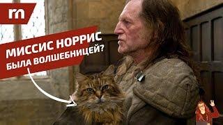 ️ ТОП 10 фанатских теорий Гарри Поттера ️