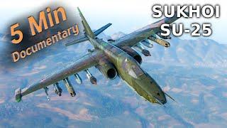 Sukhoi Su-25 - 5 Minute Documentary