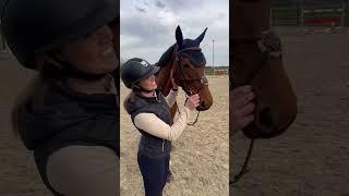Pferdehofliebe - Voll vergessen  #equestrian #pferdehofliebe #pferde #pferdemädchen #horse #shorts