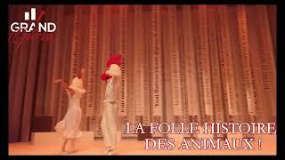 LA FOLLE HISTOIRE DES ANIMAUX | SPECTACLE