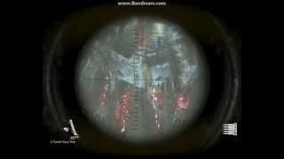 Sniper Elite Nazy Zombies Army - Testicles Shots