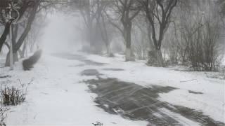  Winter Storm Ambience with Howling Blizzard and Drifting Snow on an Abandoned Road in Norway.