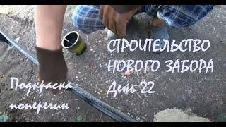 СТРОИТЕЛЬСТВО НОВОГО ЗАБОРА День 22 УРА! ЛИВЕНЬ! Подкраска ЗАБОРА Выдернули КОРЕНЬ ЯСЕНЯ!_05.08.2024