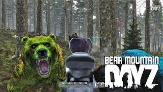 Bear Hunting | Bear Mountain DayZ |  Teamwork