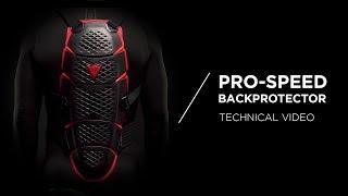 Dainese PRO-SPEED Back Protector - Technical Video