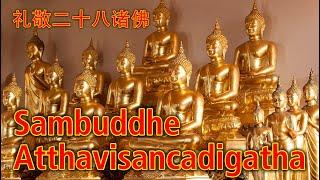 Paritta Chanting - Sambuddhe Atthavisancadigatha 礼敬二十八诸佛