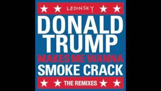 Ledinsky "DonaldTrumpMakeMeWannaSmokeCrack" (Landis Remix)