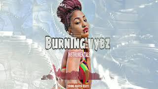 REGGAE INSTRUMENTAL- BURNING VYBZ CHRONIXX TYPE BEAT 2020 "dela move"