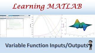 MATLAB Function with Varaible Inputs Outputs