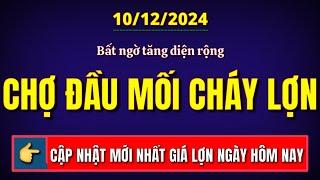 Giá heo hơi hôm nay ngày 10/12/2024 || Giá tăng trên diện rộng, chợ đầu mối cháy lợn