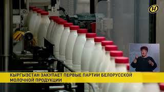 Кыргызстан закупил первые партии молочной продукции на БУТБ