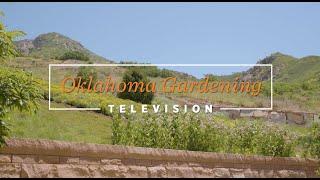 Hitting the Road on the Best of Oklahoma Gardening December 21, 2024