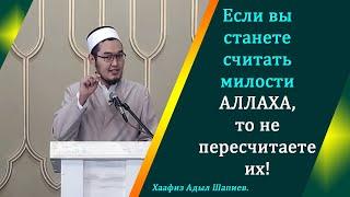 Если вы станете считать милости Аллаха, то не пересчитаете их! | Хаафиз Адыл Шапиев.