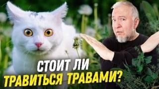 Осторожно: лекарственные травы | Алексей Водовозов | Ученые против фитотерапии