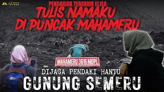 TULIS NAMAKU DI MAHAMERU! Kisah Elisa dijaga Pendaki hantu saat akan Meninggal Di gunung SEMERU