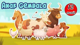 Anak gembala | Lagu anak | Lagu anak 12 menit