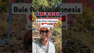 Bule Cinta Indonesia ️ GRATIS jalan jalan dari Indonesia #jalanjalan  #shorts #bule