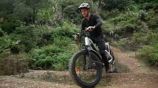 BeeCool Bikes Collection | The Coolest & Most Comfortable All-Terrain E-bikes Ever