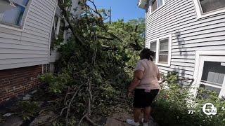 Residents still working to get trees removed from storm damage