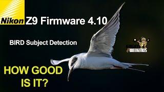 Z9 Firmware 4.10 Bird Detection: Real World Test