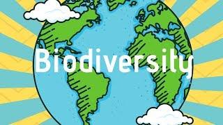 What is Biodiversity?