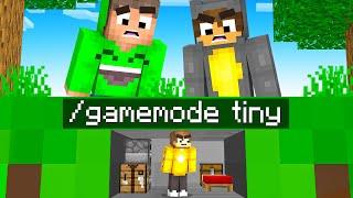 Using /gamemode tiny To WIN In Minecraft!