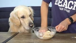 Dog's reaction to cooking cookies