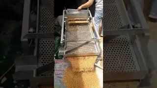 Clean grain vibrating screen, screening wheat,
