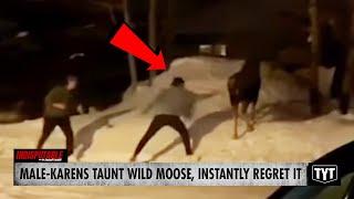 WATCH: Male-Karens Taunt Wild Moose, Instantly Regret It