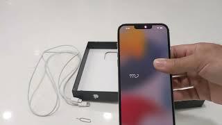 iPhone 13 Pro Max Silver 256 GB unboxing video