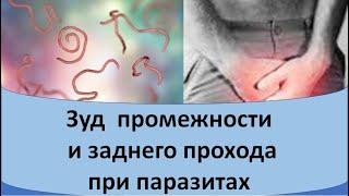 Зуд промежности и заднего прохода при паразитах. Случай из практики дерматовенеролога.