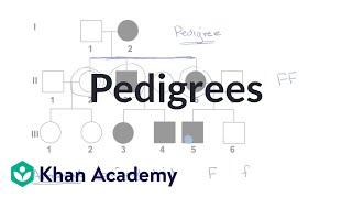 Pedigrees | Classical genetics | High school biology | Khan Academy