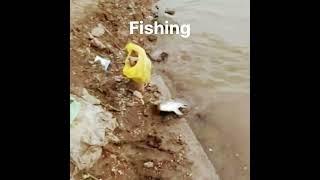 float fishing techniques || how to catch tilapia fish || very easy way catch || village fishing