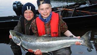 Naamisuvanto: salmon fishing in Lapland Tornio Torne River - lohen kalastus Lappi Tornionjoki